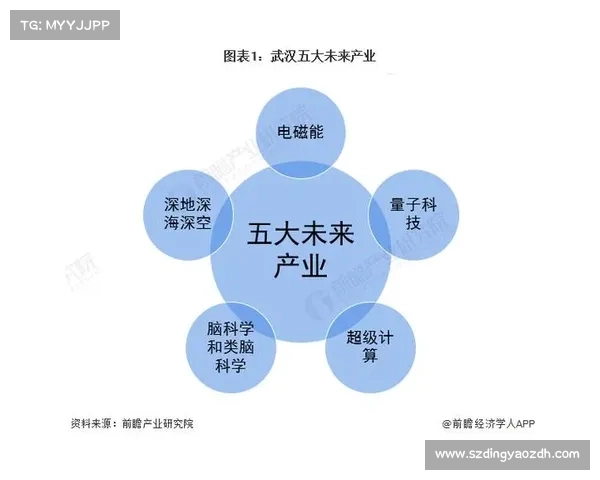 基于DK宏技术的应用研究与发展策略分析及未来探索路径 基于DK宏技术的应用研究与发展策略分析及未来探索路径