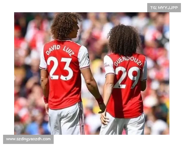 大卫路易斯战术定位解析与角色演变探讨