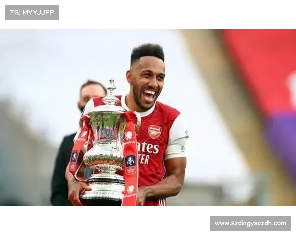 围绕阿森纳队徽五大趣闻展开的深度文化与历史全景揭秘之旅巡礼行