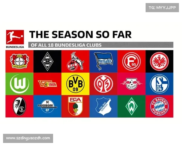 如何全面评估足球俱乐部的财务健康状况及其影响因素