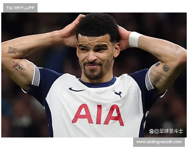 弗拉霍维奇重返巅峰的逆袭之路从低谷到辉煌的奋斗历程